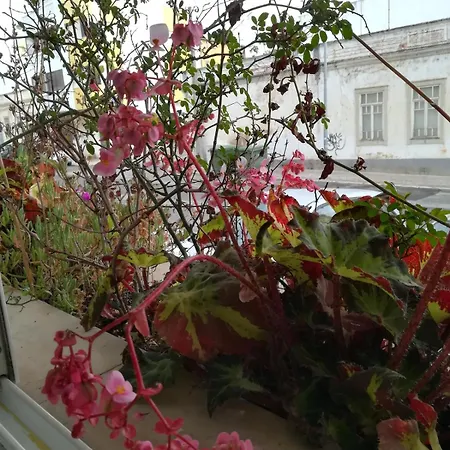 Lovely Flat In The Center * Distrikt Faro