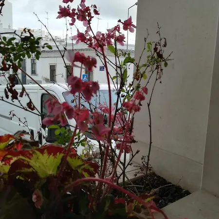 Lovely Flat In The Center Apartamento Faro