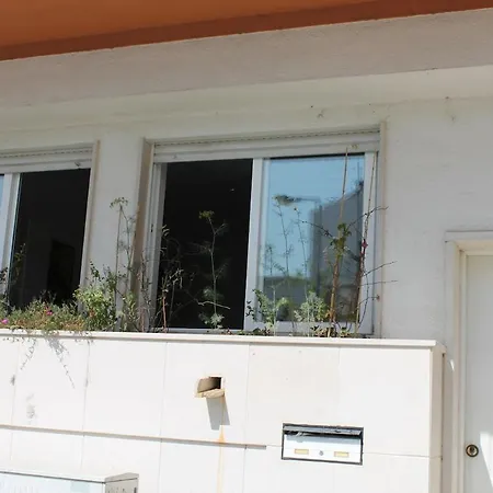 Lovely Flat In The Center 公寓