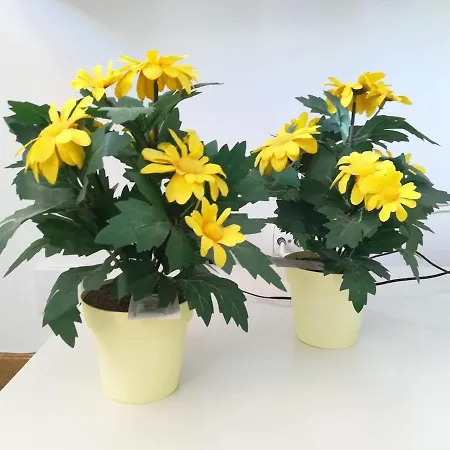 Lovely Flat In The Center