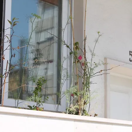 Lovely Flat In The Center Dystrykt Faro