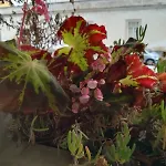 Lovely Flat In The Center *
